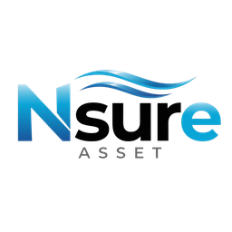 Nsure Asset